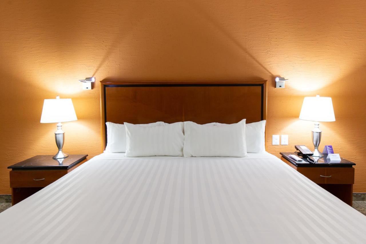 Hs Hotsson Hotel Tampico Dış mekan fotoğraf