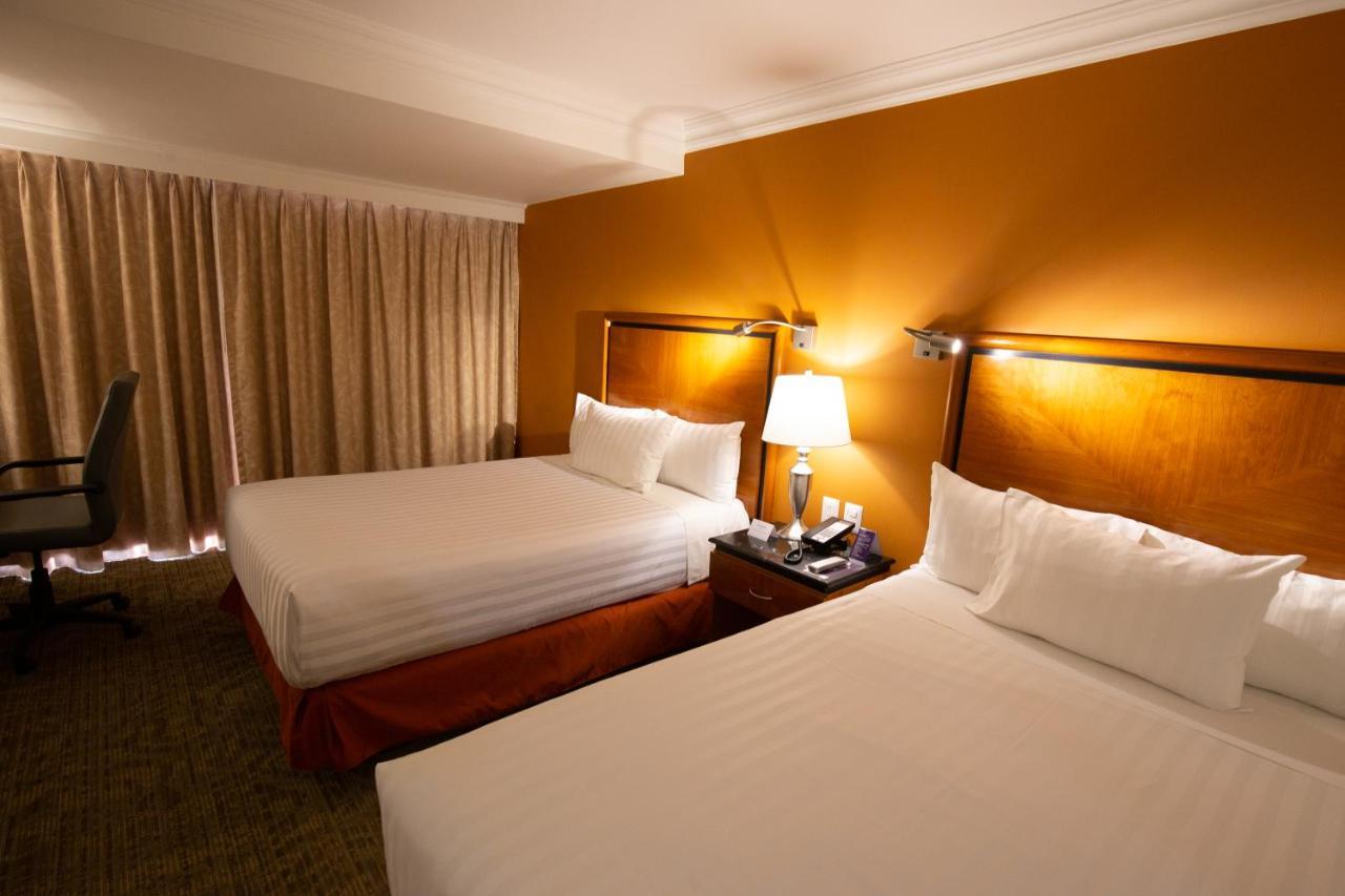 Hs Hotsson Hotel Tampico Dış mekan fotoğraf