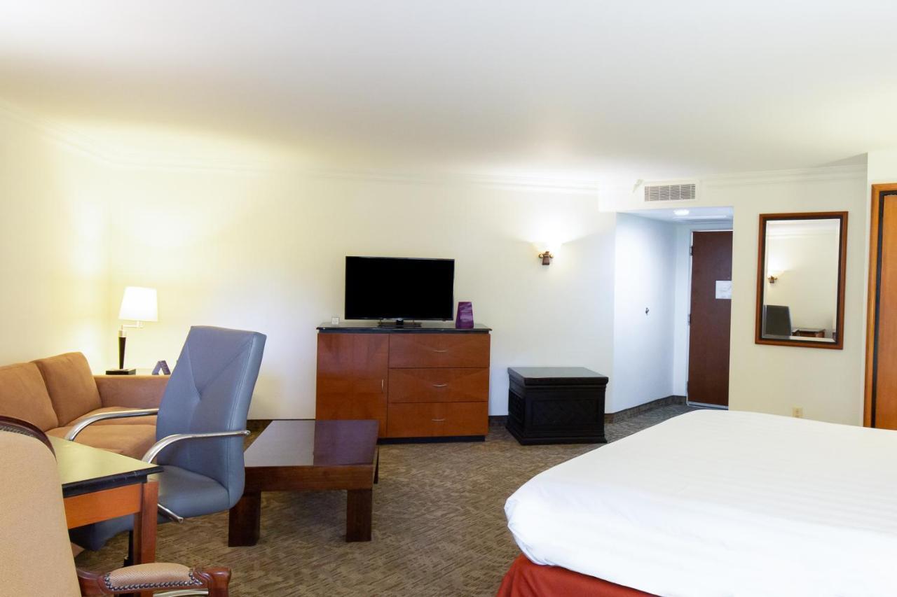 Hs Hotsson Hotel Tampico Dış mekan fotoğraf