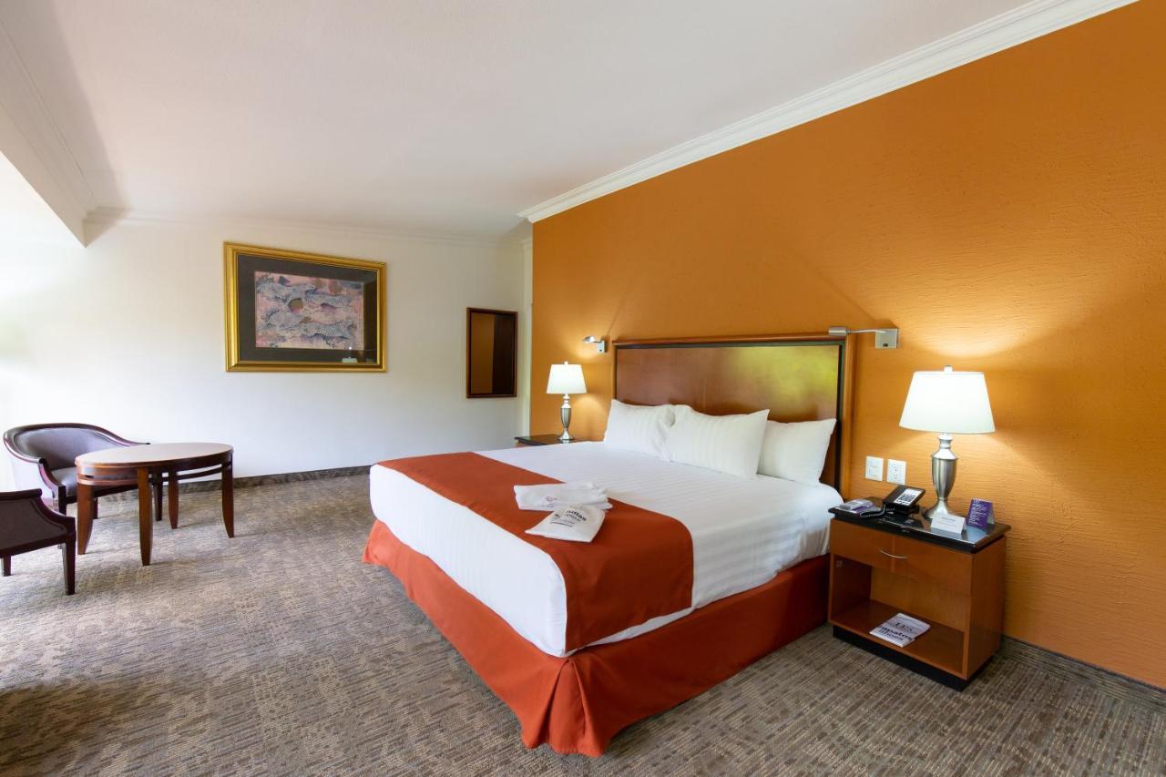 Hs Hotsson Hotel Tampico Dış mekan fotoğraf